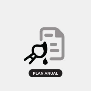 Sitio Web Economy, Plan Anual